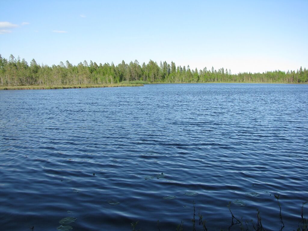 SyväjärviKok.JPG