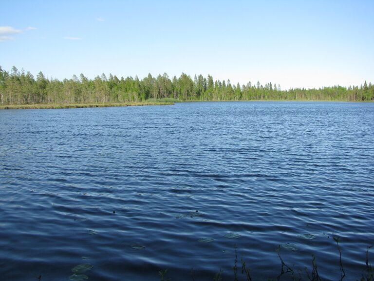 SyväjärviKok.JPG