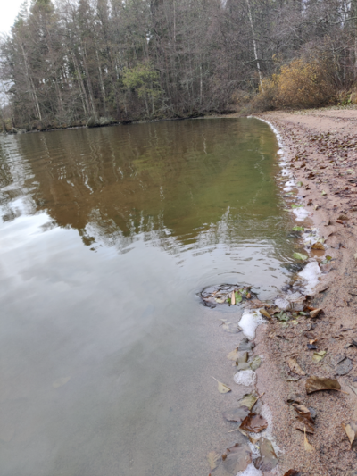 Hiidenvesi (23.031.1.001)-Puumanni-ObsIMG-202511031154-69087c5f8f1f8.png