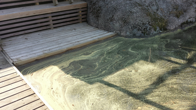 Konnevesi (14.711.1.001)-Rappaatlahti-ObsTRASH-202105191950-60a5488de444e.png