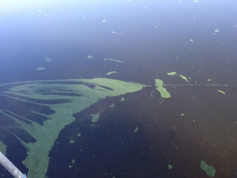 L Piensaimaa Merenl Pulkkaniemi.jpg