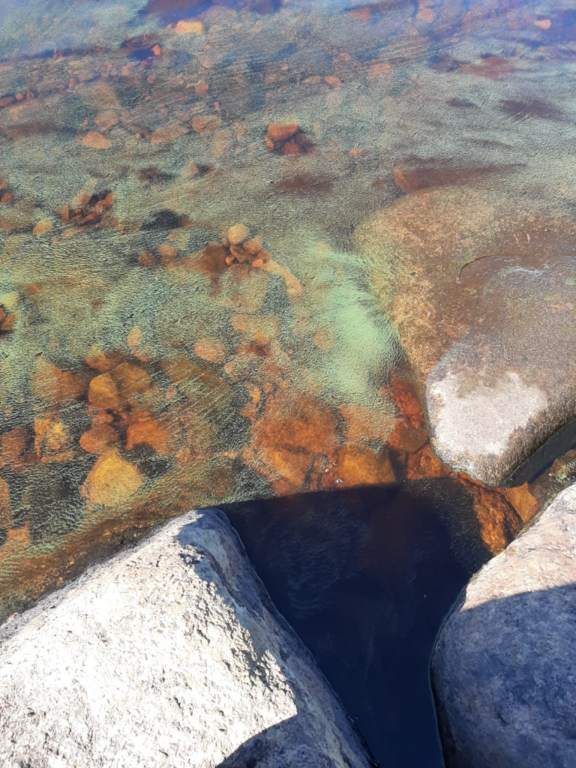 Iso-Vietonen (67.961.1.001)-Havaintopaikka 2-ObsALG-202107021152-60ded5457b9f6.png