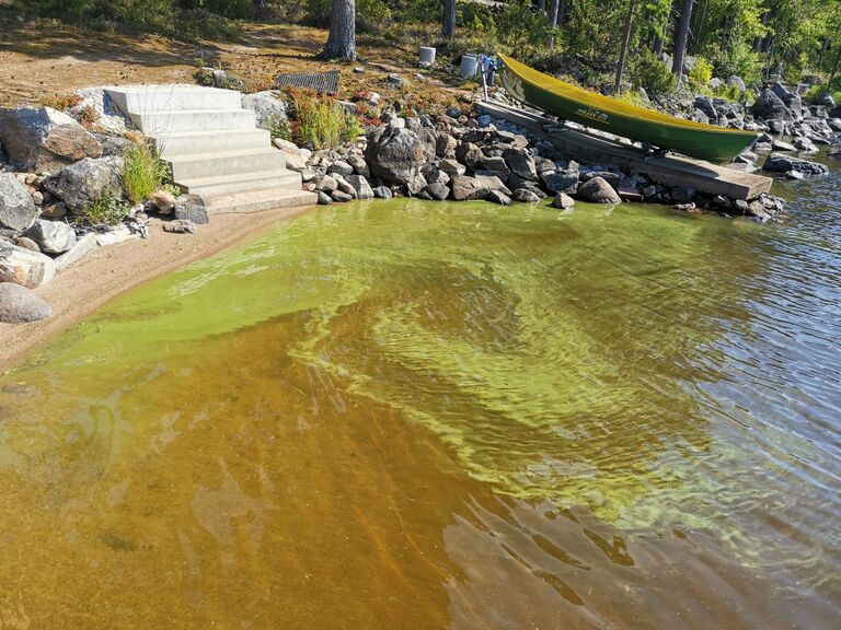 Kallavesi (yhd.)-Salonsarvi33 33 -ObsIMG-202008082109-30.jpg