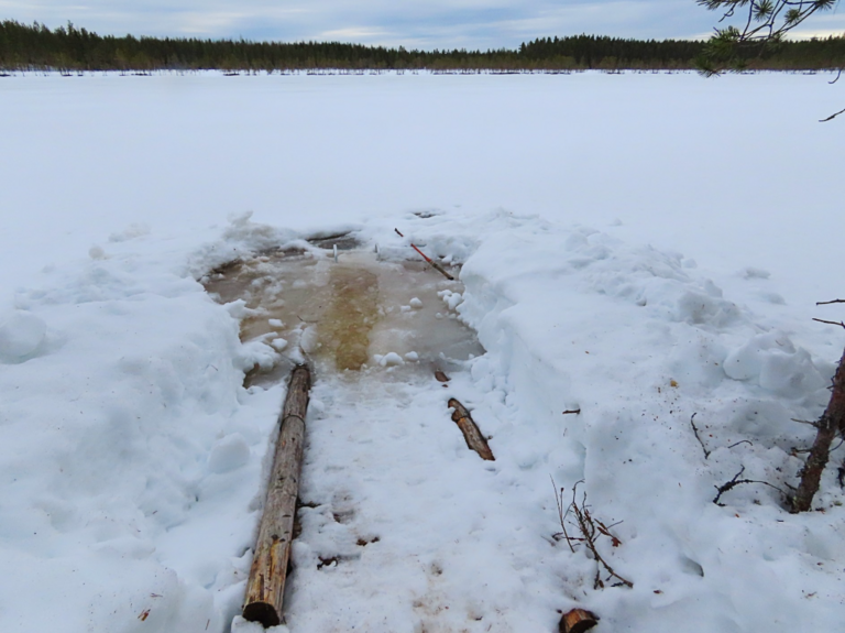 Lokkilampi (04.488.1.007)-Havaintopaikka 1-ObsIMG-202204180917-625d02bb617f3.png