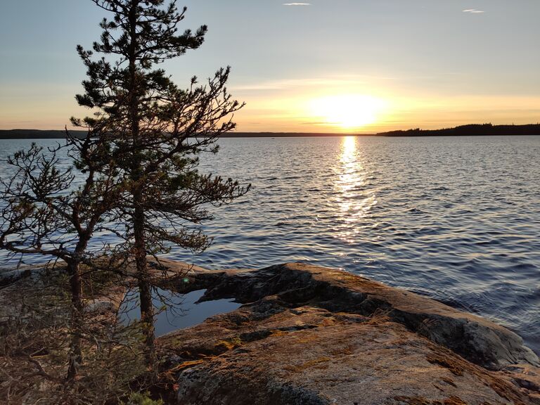 Toisvesi (35.421.1.001)-Pirkkalanniemi-ObsIMG-202007182209-37.jpg