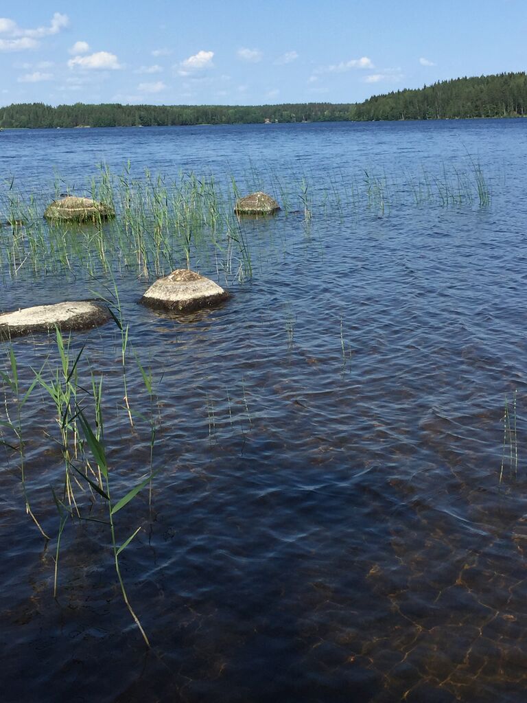 Kivijärvi (14.192.1.001)-Raparanta-ObsIMG-201906211355-51.jpg