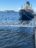 Kotkan edusta, Sunilanlahti-Valtakunnallinen sinileväseuranta (Suomen merimuseo)-ObsIMG-202606301630-1782828445463.png