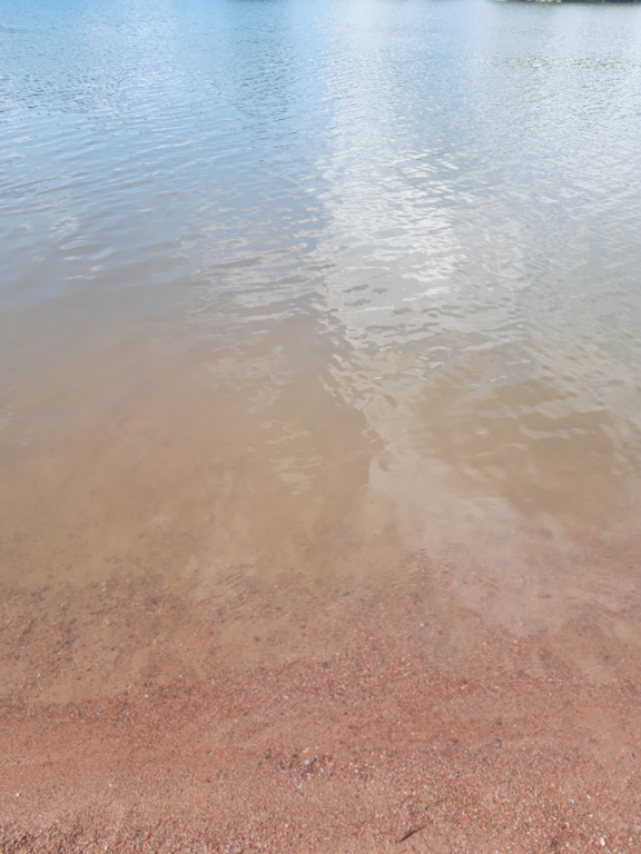 Pyhäjärvi (34.031.1.001)-Valtakunnallinen sinileväseuranta (Katismaan uimaranta)-ObsALG-202306271453-649acde8f2dee.png