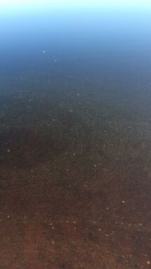 Sonkajärvi (65.515.1.001)-Leppiniementie-ObsIMG-201807021105-48.jpg