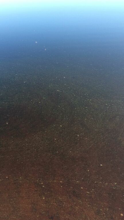 Sonkajärvi (65.515.1.001)-Leppiniementie-ObsIMG-201807021105-48.jpg