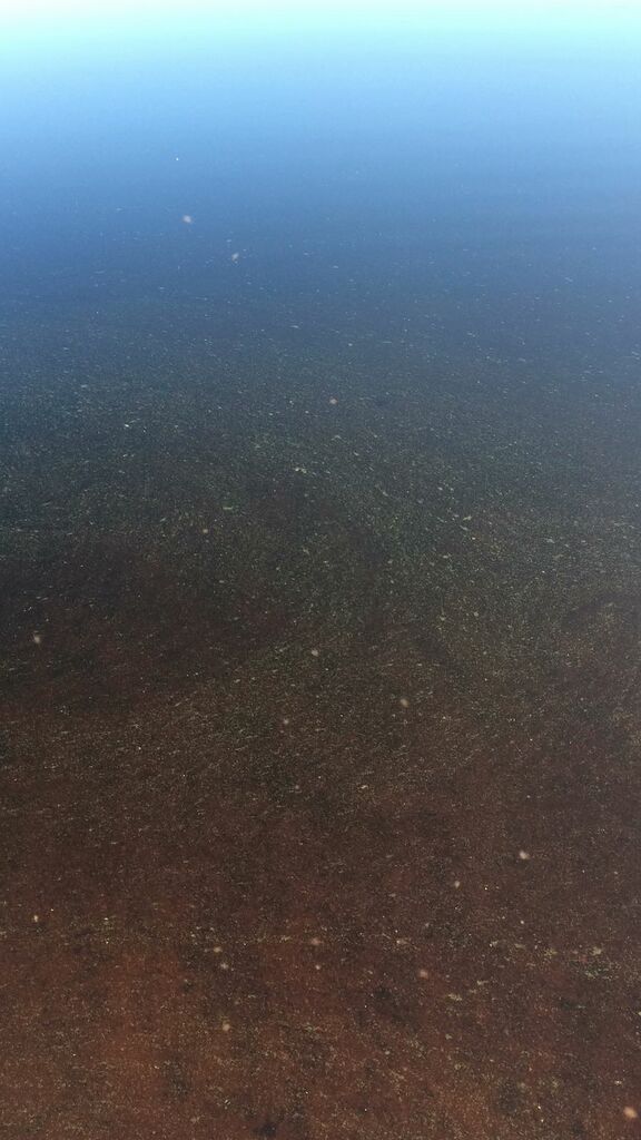 Sonkajärvi (65.515.1.001)-Leppiniementie-ObsIMG-201807021105-48.jpg