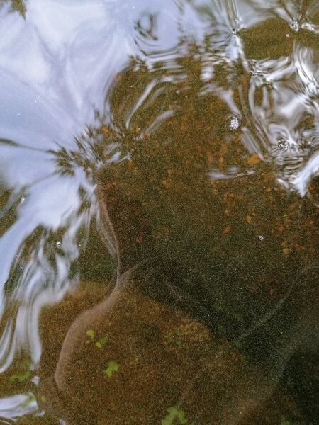 Tiedosto:Ätäskö (04.392.1.001)-Ätäskö, Lahdenkalliontie 11, Kitee-ObsIMG-202009040949-58.jpg