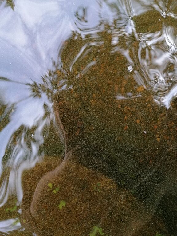 Ätäskö (04.392.1.001)-Ätäskö, Lahdenkalliontie 11, Kitee-ObsIMG-202009040949-58.jpg