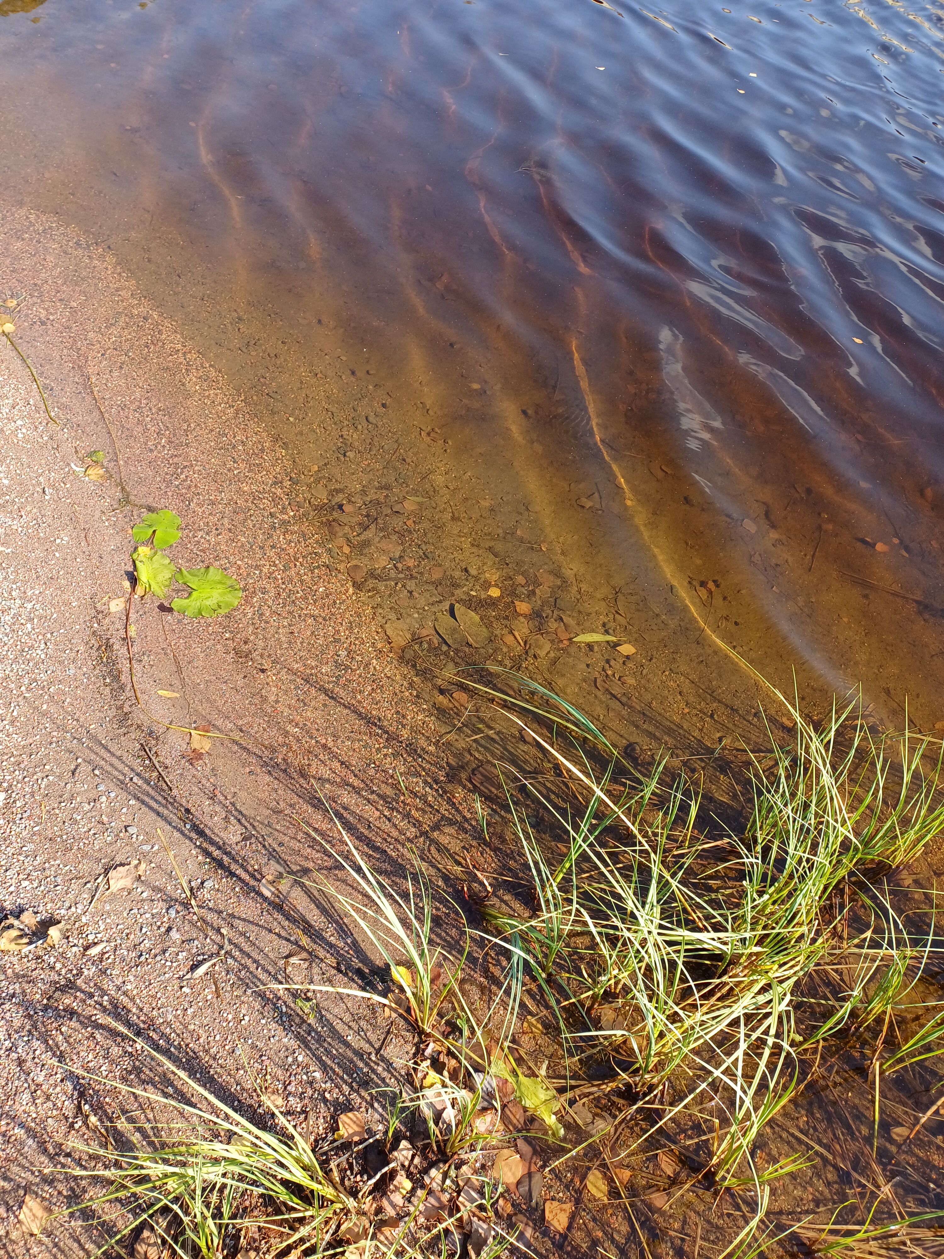 Iso-Lano 20240904 145549.jpg