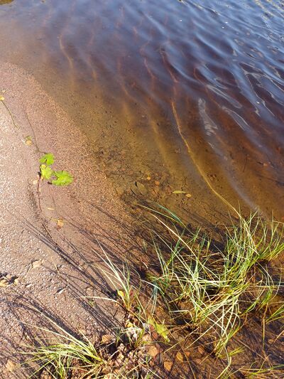 Iso-Lano 20240904 145549.jpg