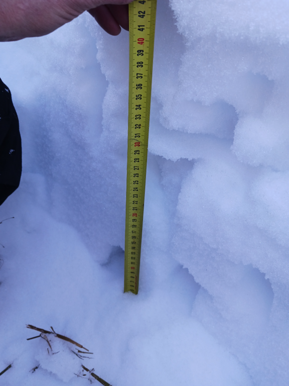 Kuusamojärven lähialue (74.031)-Autioaho, niitty-ObsSNOWLOAD-202304061257-642e9aa969d9e.png