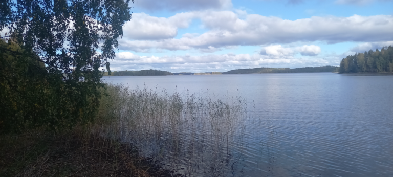 Saimaa (04.112.1.001)-Rotarien sinileväseuranta (Pulkkaselkä, Hietalahti)-ObsIMG-202509281426-1759058873176.png