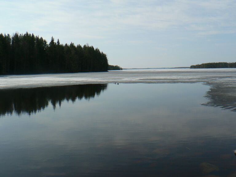 Telkät ovat tulleet.JPG