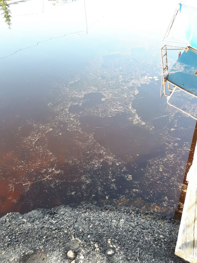 20210727 Suninsalmi.jpg