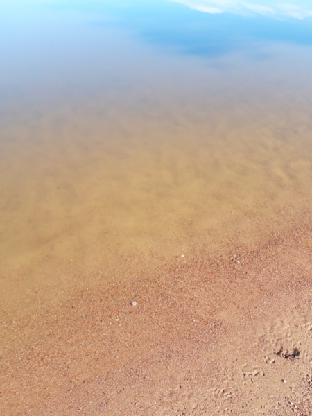 Tiedosto:Köyliönjärvi (34.054.1.001)-Valtakunnallinen sinileväseuranta (Yttilän Otta)-ObsALG-202306201002-649152d3d66a3.png