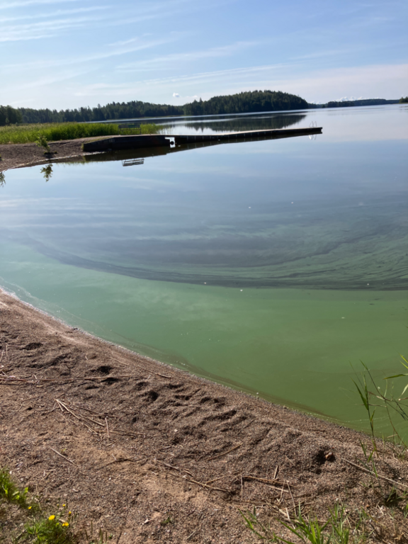 Loppijärvi (35.874.1.001)-Valtakunnallinen sinileväseuranta (Kirkonkylän uimaranta)-ObsALG-202307250925-64bf6ad36562a.png