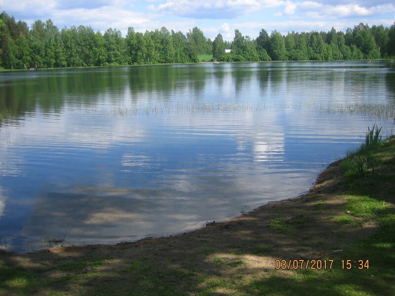 Tiedosto:Rekilampi Kulho.JPG