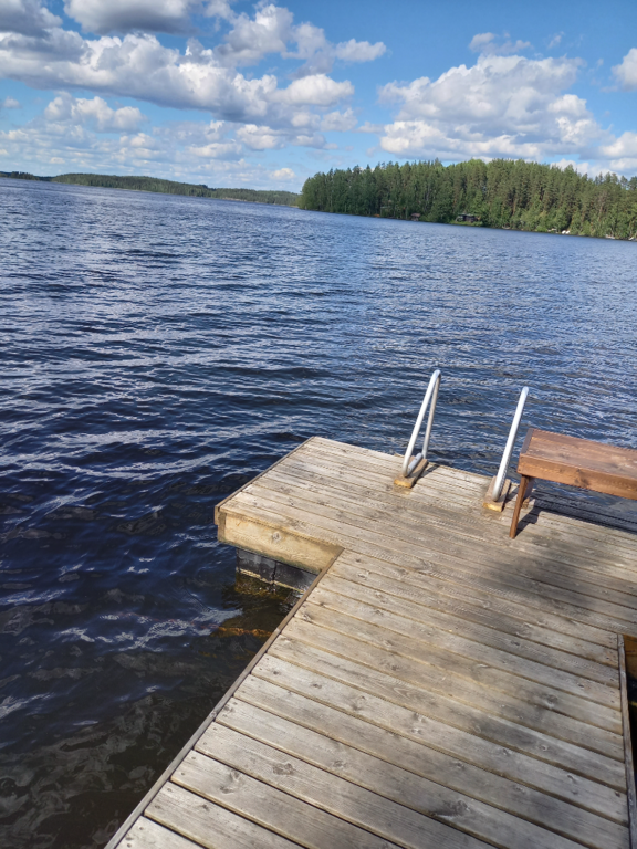 Saimaa (04.112.1.001)-Rotarien sinileväseuranta (Pulkkaselkä, Hietalahti)-ObsIMG-202106151646-60c8afe8a8849.png