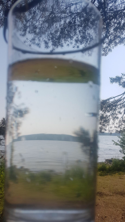 Sipoon saaristo-Rotarien sinileväseuranta (Skatanluoto)-ObsIMG-202106211324-60d0690e7c4dc.png