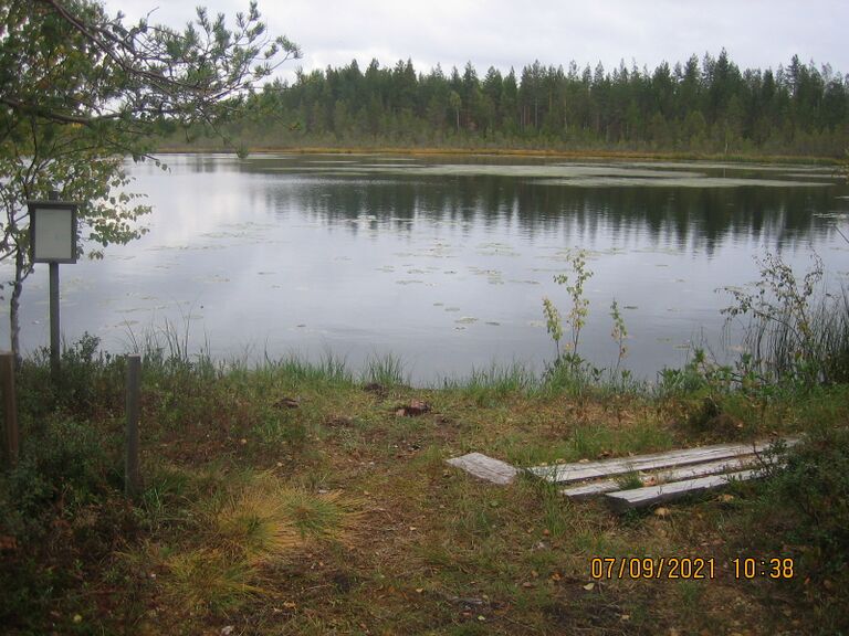 Vareslammen ranta.JPG