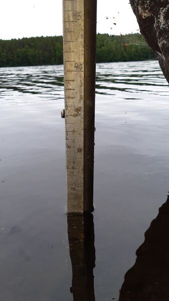 Tiedosto:20200705 190047.jpg