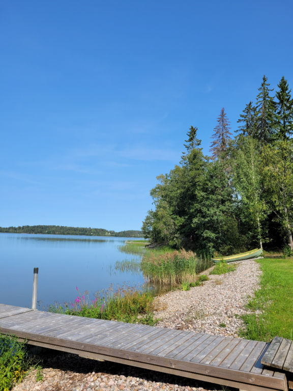 Mallusjärvi (18.033.1.001)-Valtakunnallinen sinileväseuranta (seurakunnan leirikeskus)-ObsIMG-202408201435-66c48053e6d45.png