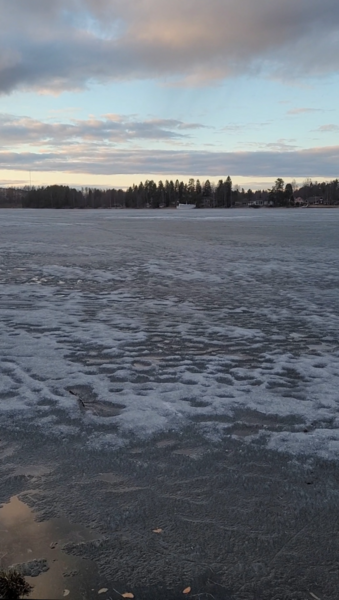 Siilinjärvi (04.611.1.010)-Risuharju satama-ObsIMG-202603271800-69c6b8f671573.png