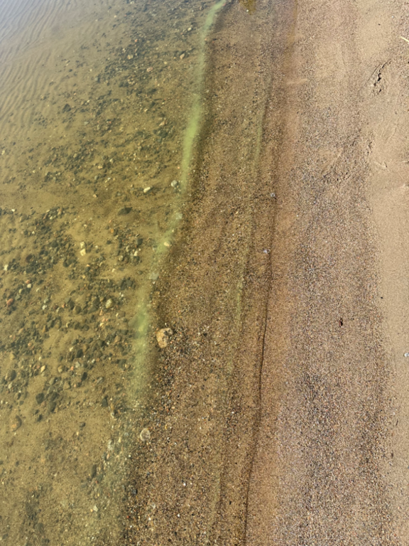 Ukonvesi (Saimaa) (04.151.1.001)-Koivukummunpolku-ObsALG-202308131045-64d9103802c95.png