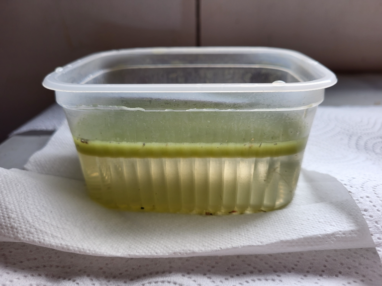 Vähä Tiilijärvi (14.244.1.004)-Uimaranta-ObsALG-202307262310-64c17e2b9642d.png