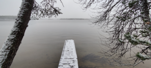 Välijärvi (74.021.1.051)-Luikonsaari-ObsIMG-202110211442-617152fbb8895.png