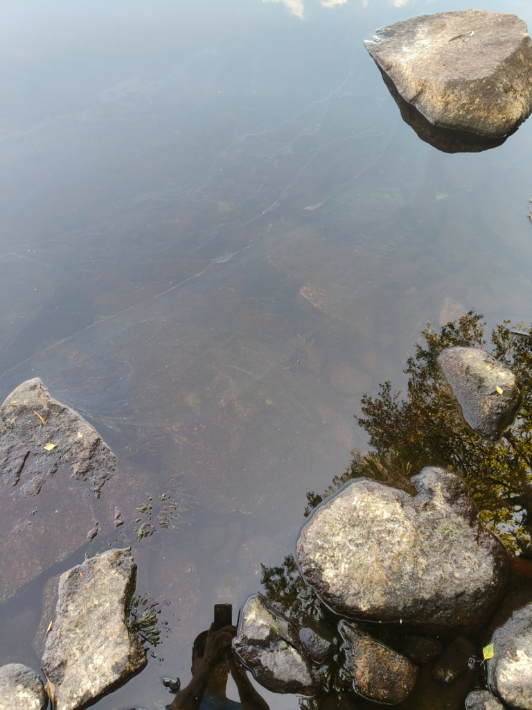 Ala-Kintaus (14.552.1.001)-Niemelä-ObsIMG-202507191128-687b5766d42cc.png