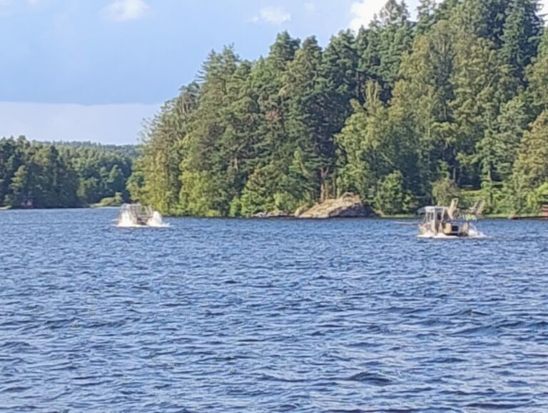 IMG 20250806 160131513 AE.jpg