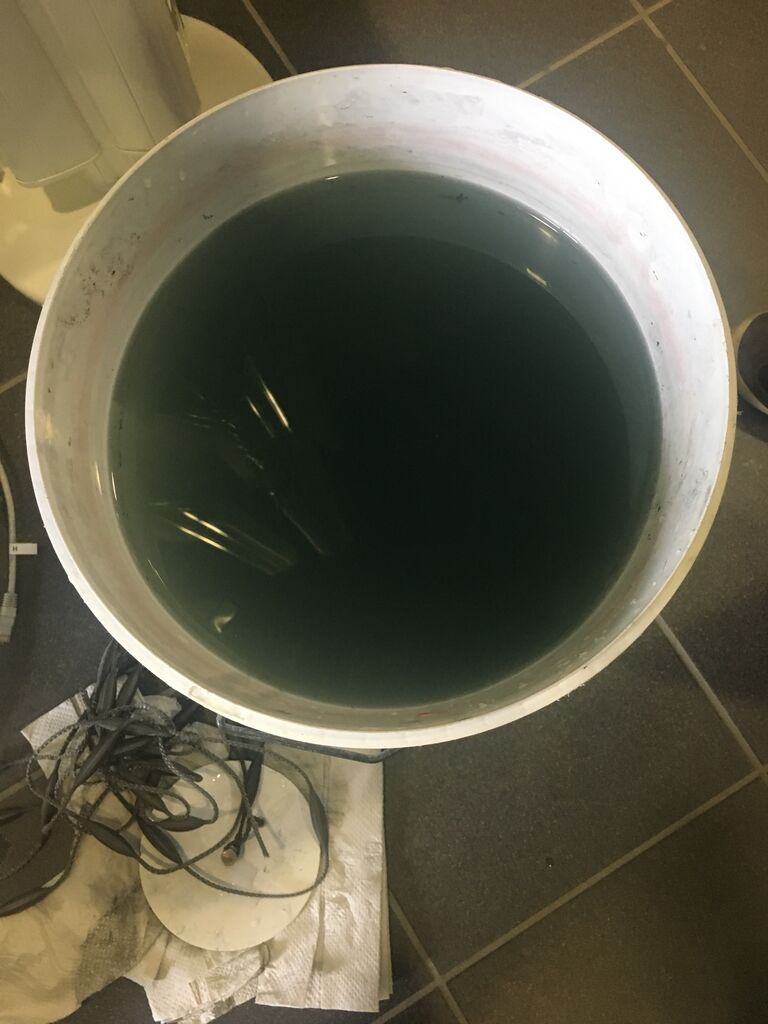 Juurusveden lähialue (04.611)-Kansalaisopisto-ObsIMG-201705121318-40.jpg