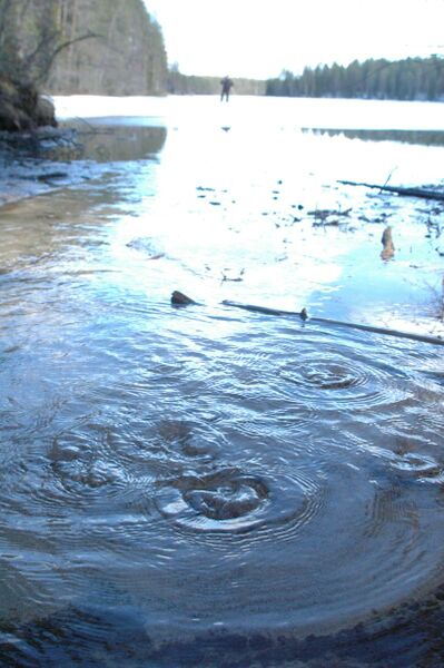 Tiedosto:Luikonperän lähde.JPG