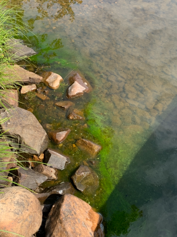 Pyhäjärvi (65.364.1.001)-Pyhäjärvi, Vuotkunmutkantie -ObsIMG-202107271253-60ffd887f0dfa.png