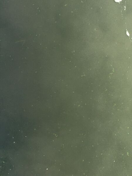 Tiedosto:Satama ja Ruissalon salmet-Päivänhovi-ObsALG-202007310825-42.jpeg