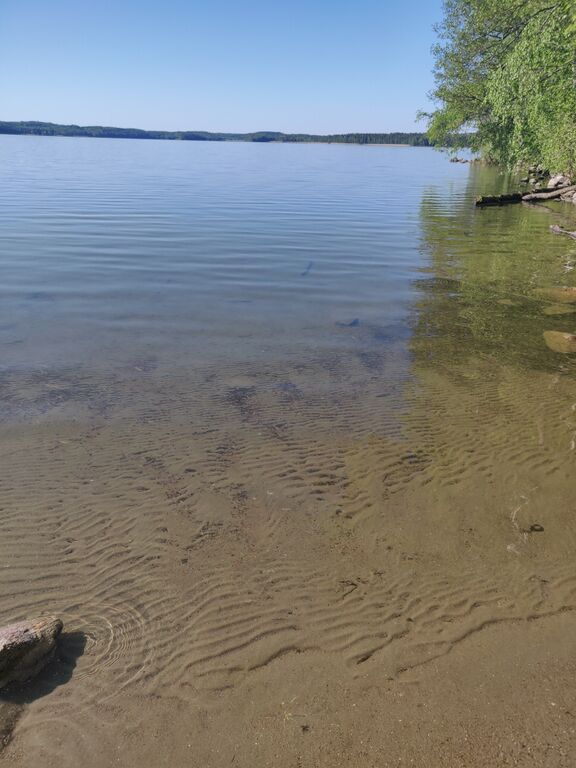 Vesijärvi (14.241.1.001)-Kalmarinranta-ObsIMG-202006030757-77.jpg