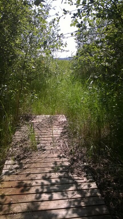 20140713 114455000 iOS.jpg