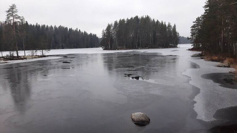 Koliman lähialue (14.472)-Kolima, Kyrönpuron niska-ObsICE-202012111530-95.jpg