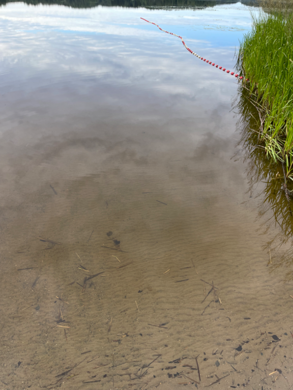 Ukonvesi (Saimaa) (04.151.1.001)-Valtakunnallinen sinileväseuranta (Launialan uimaranta)-ObsIMG-202308090915-64d32ebe505ff.png