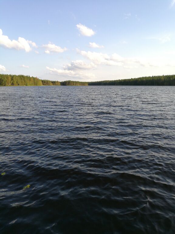 Valkeinen (35.643.1.010)-Valkeinen-ObsIMG-201608191701-53.jpg