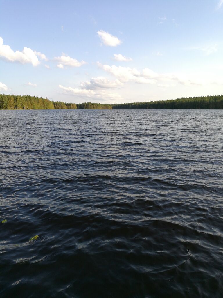 Valkeinen (35.643.1.010)-Valkeinen-ObsIMG-201608191701-53.jpg