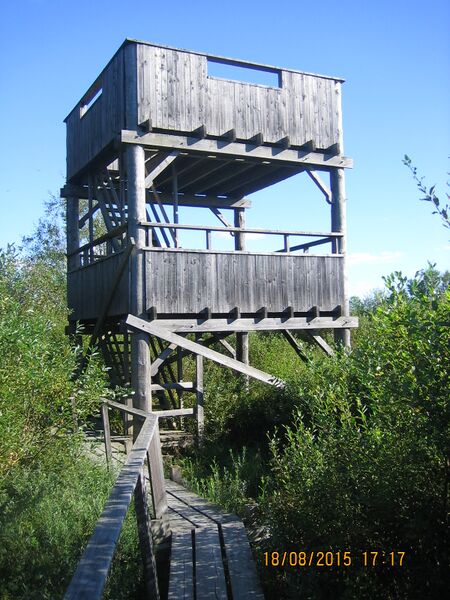 Tiedosto:Aneriojarven lintutorni.JPG