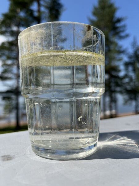 Tiedosto:IMG 2091.jpeg