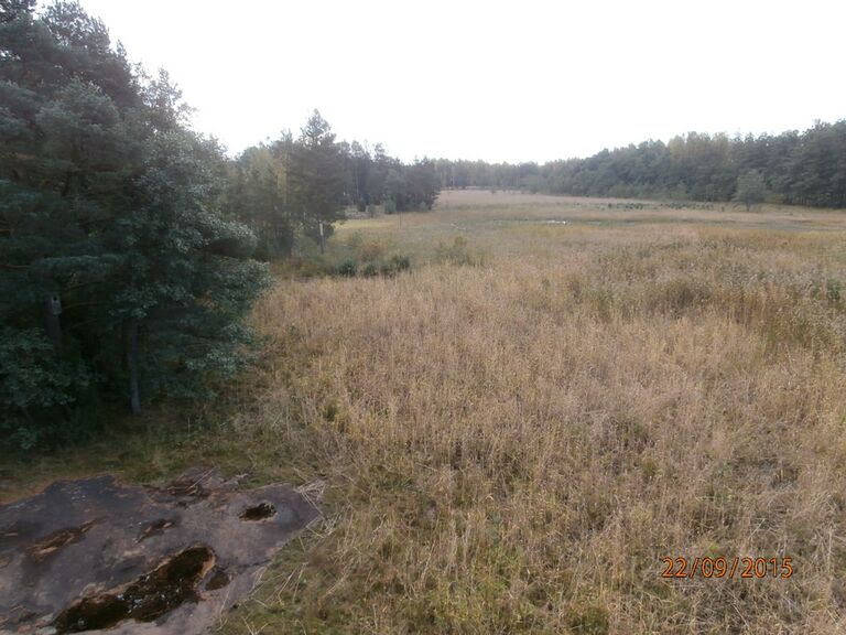 Kopparnäsin lintutornista etelään.JPG